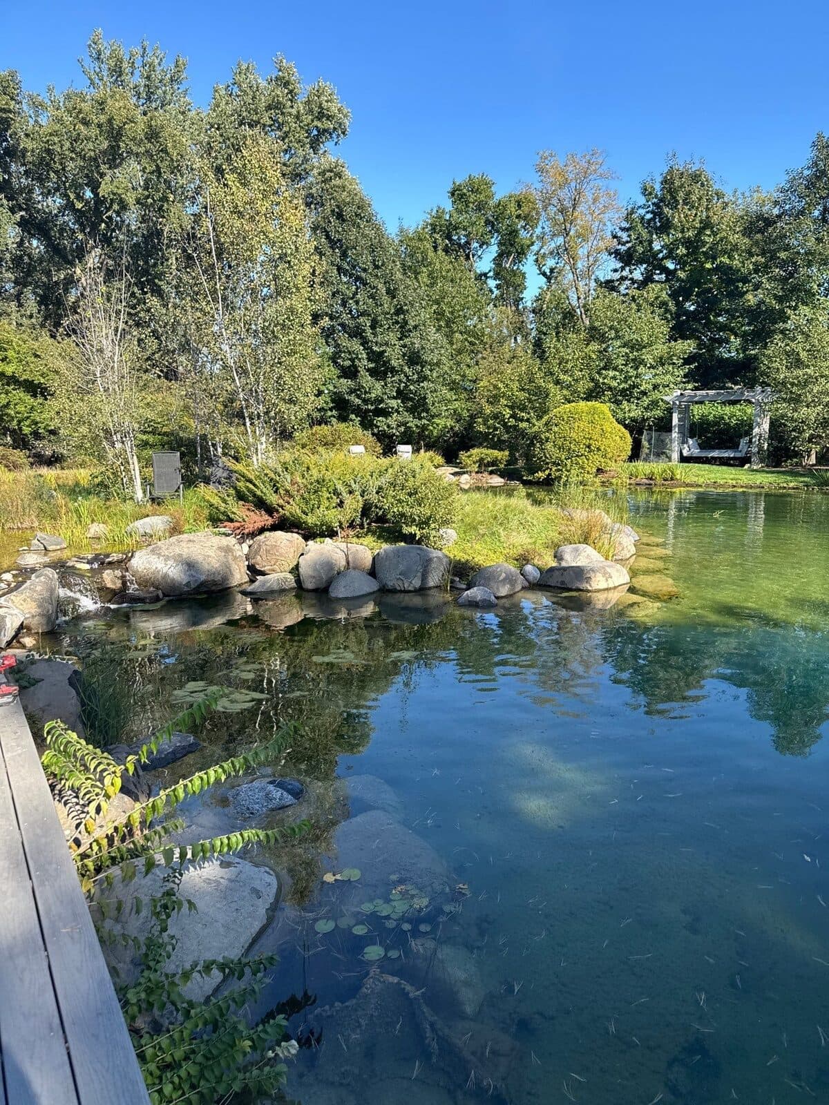 Natural Swimming Pools