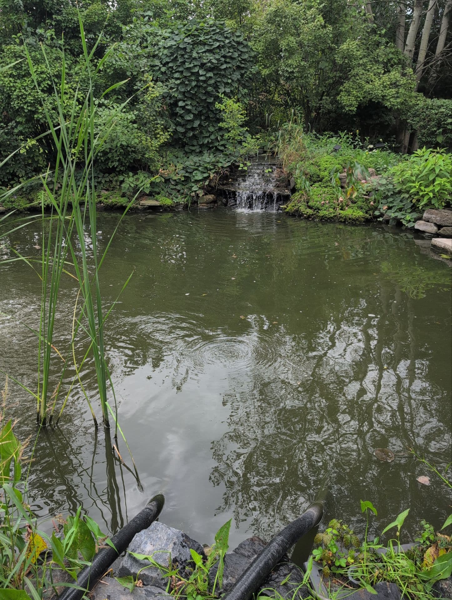 Reflections Water Gardens project 3