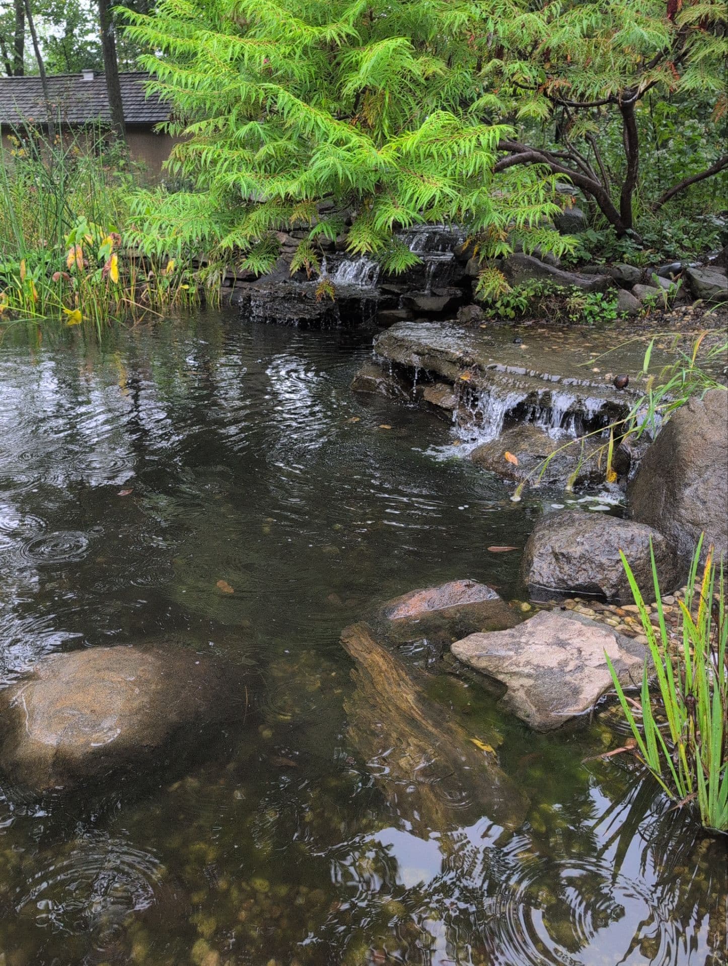 Reflections Water Gardens project 4