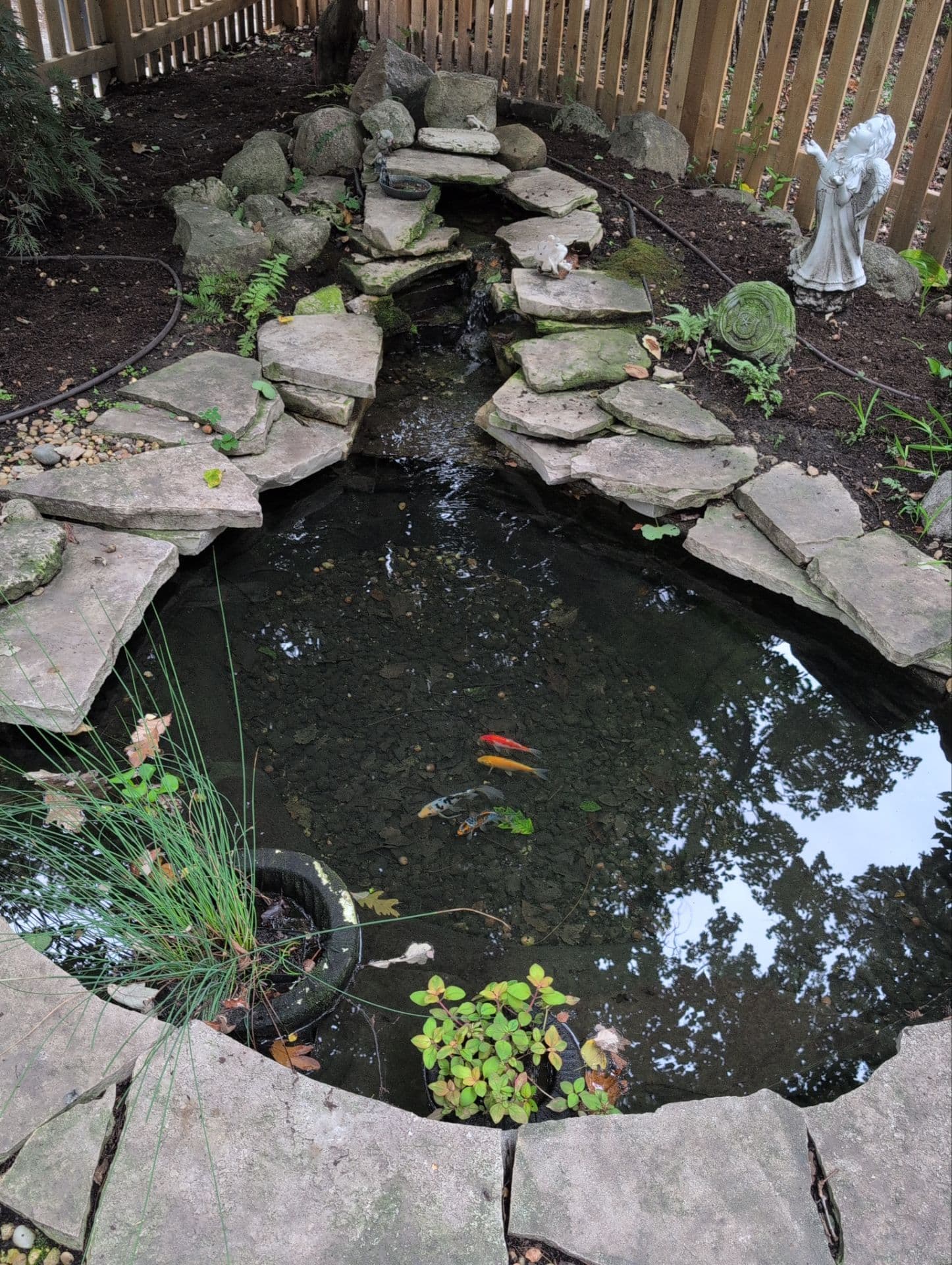 Reflections Water Gardens project 8