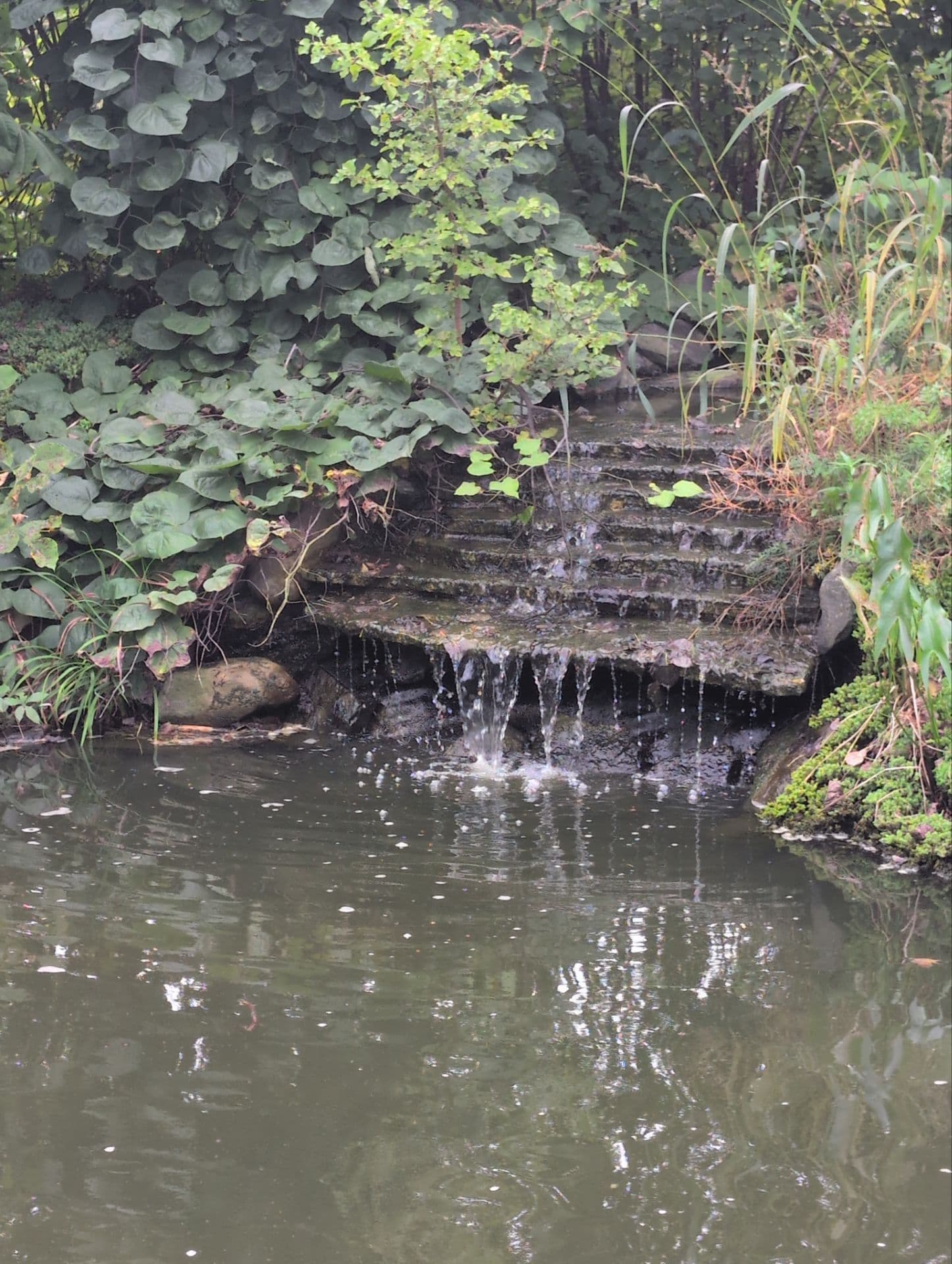 Reflections Water Gardens project 11