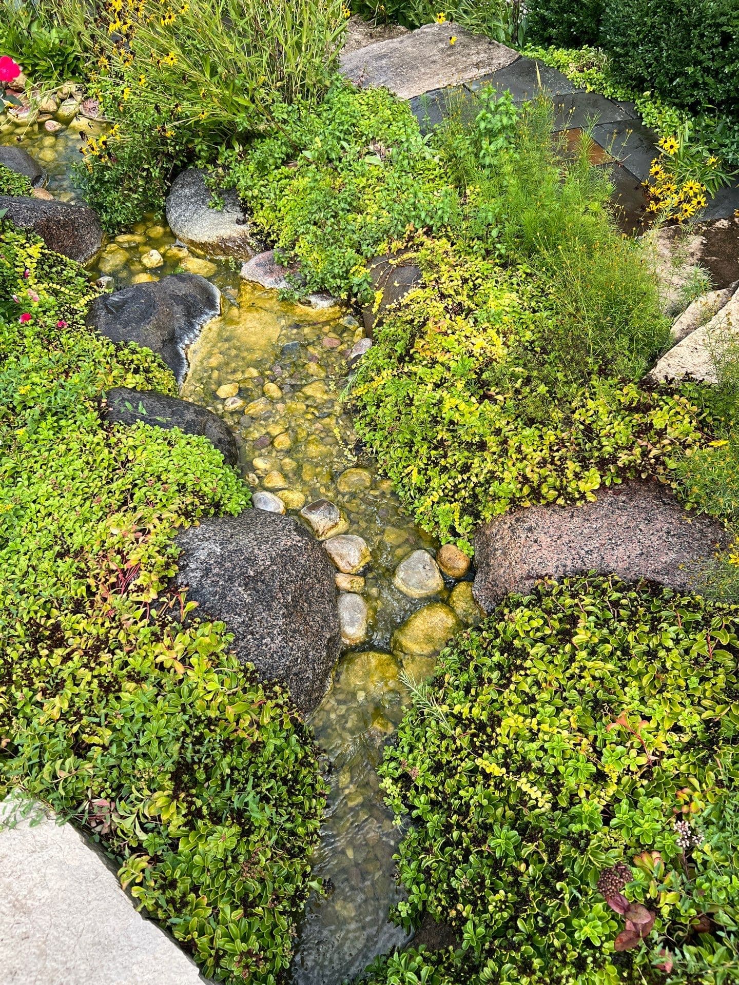 Reflections Water Gardens project 15