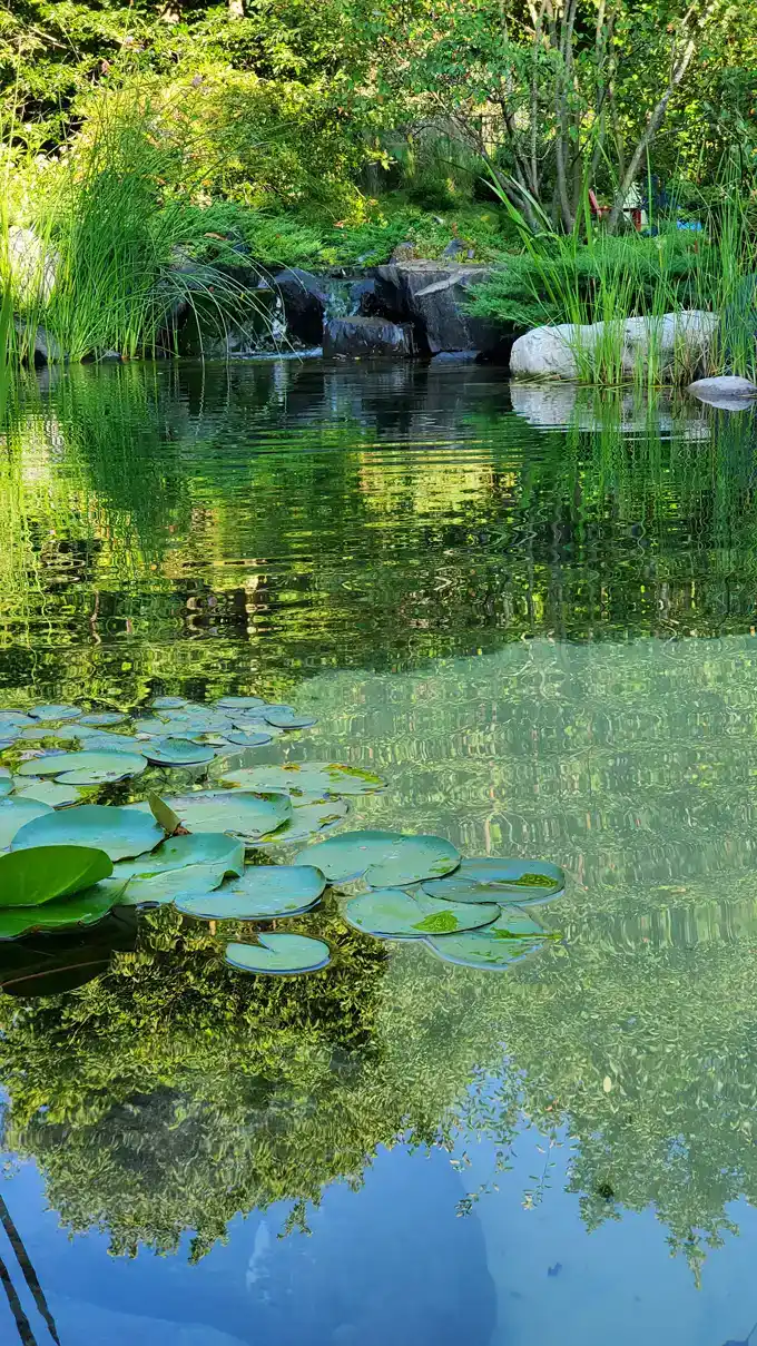 Natural Pool Resort