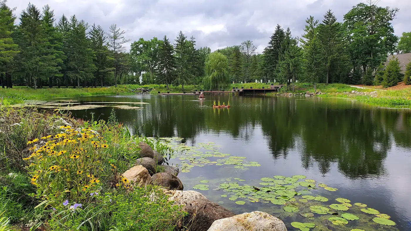 Pond and Stream