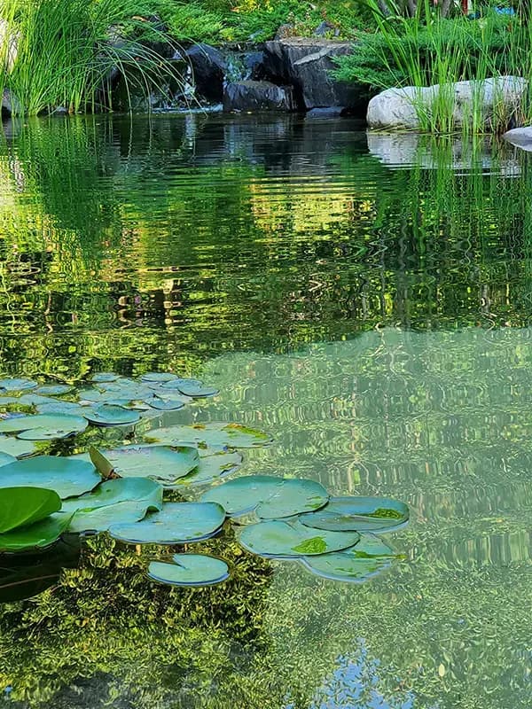 Water Features