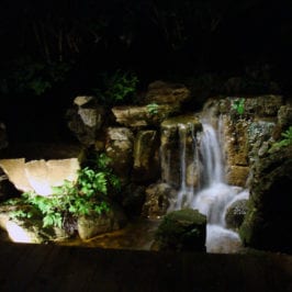 Natural Swimming Pool Design Build and Construction Illinois | Reflections