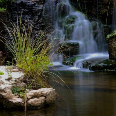 Natural Swimming Pool Design Build and Construction Illinois | Reflections