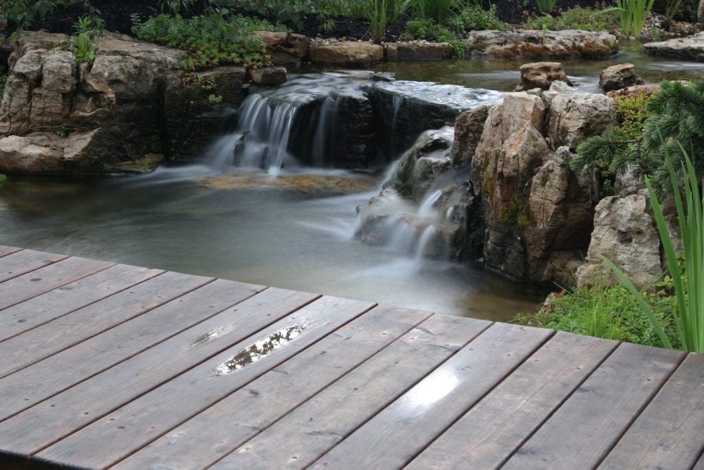 Dream Backyard with Breathtaking Koi Pond