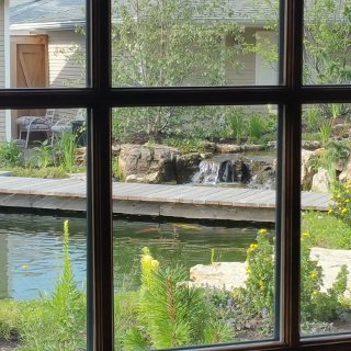 Natural Swimming Pool Design Build and Construction Illinois | Reflections