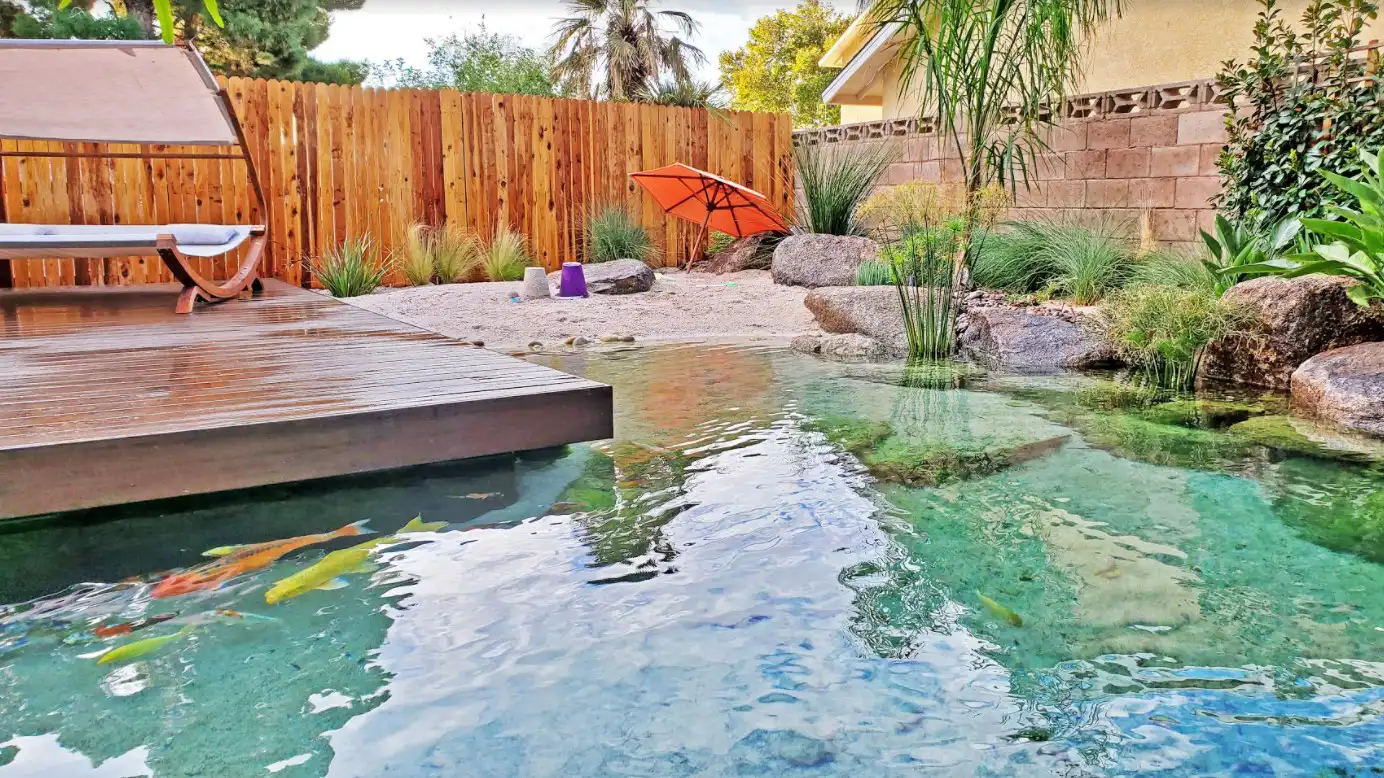 What are the Dangers of Backyard Ponds or Pools? Follow These Safety Tips -  Reflections Water Gardens