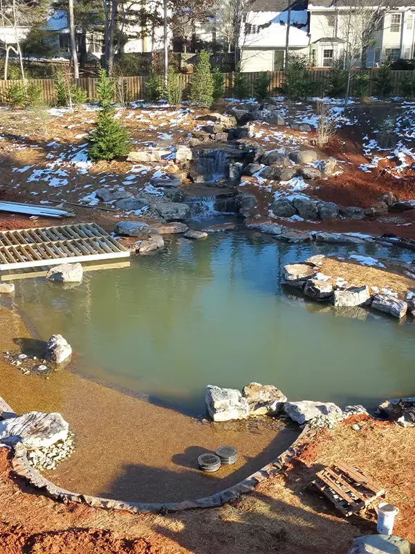natural swimming pools design and construction