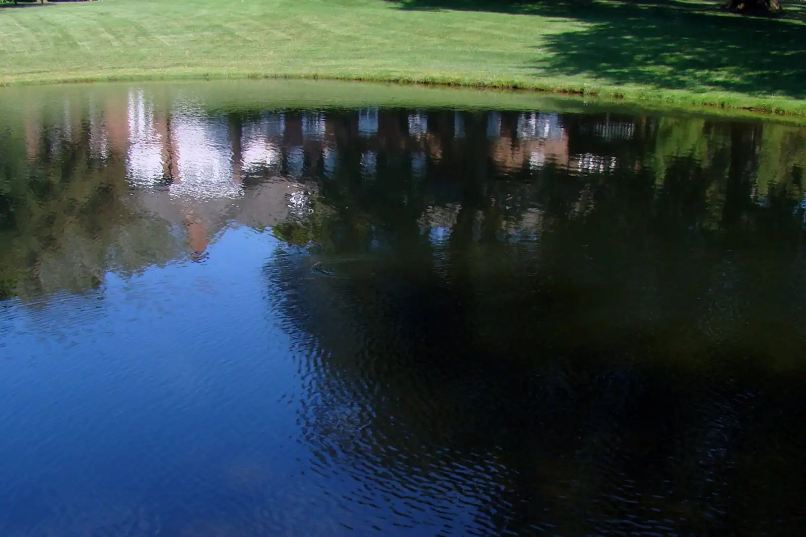 Backyard Pond, Backyard Garden Ponds | Reflections Water Gardens