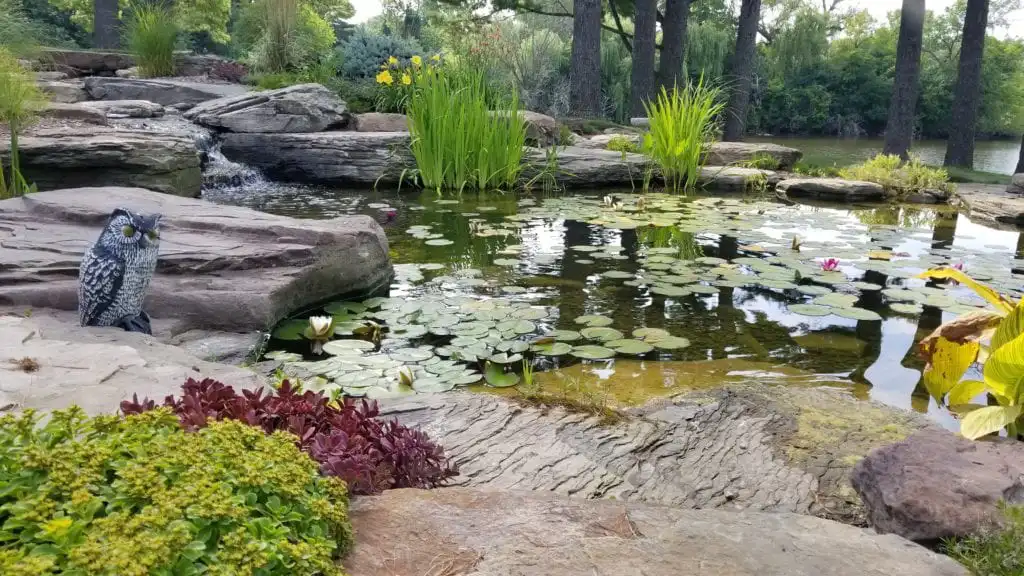 Water Garde, Water Garden Design | Reflections Water Gardens