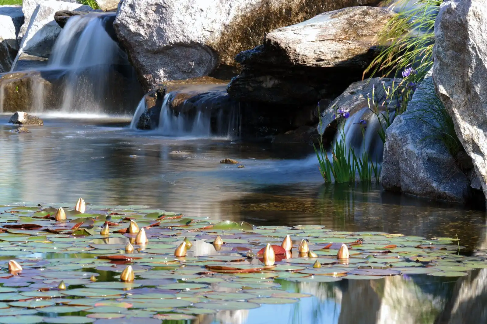 Backyard Waterfalls, Waterfalls Design | Reflections Water Gardens