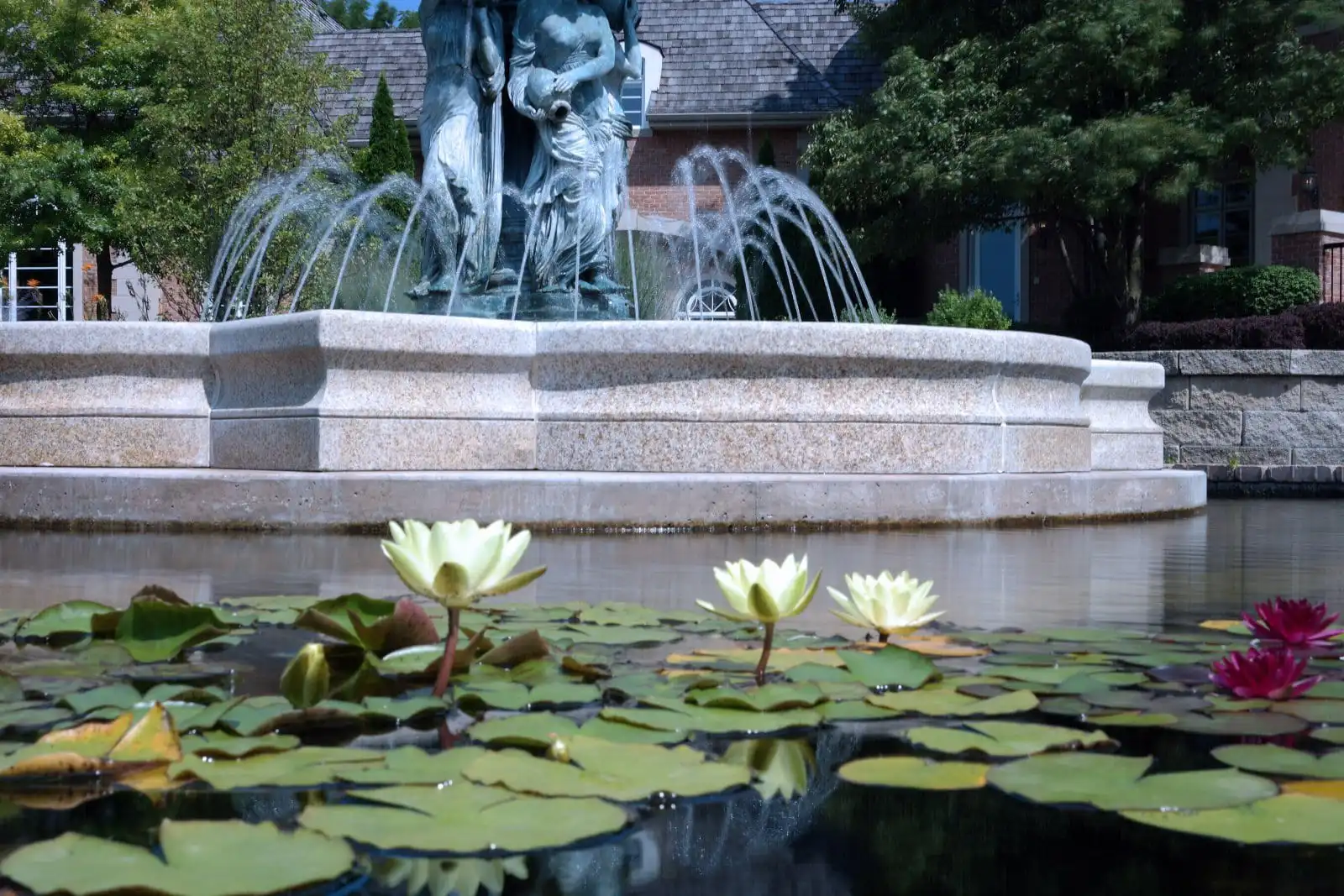 Backyard Water Fountain, Custom Fountains | Reflections Water Gardens