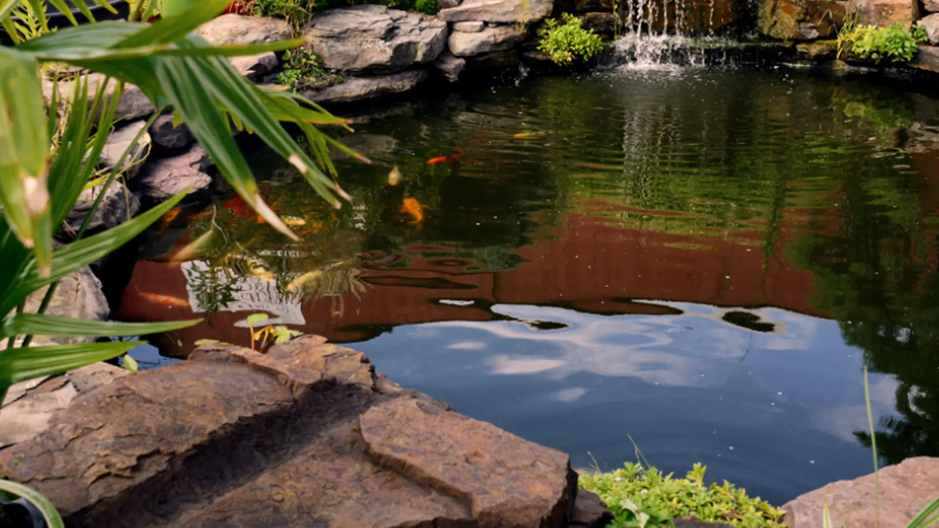Tranquil Water Gardens: Design and Construction Ideas