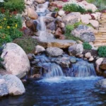 Understanding Water Features