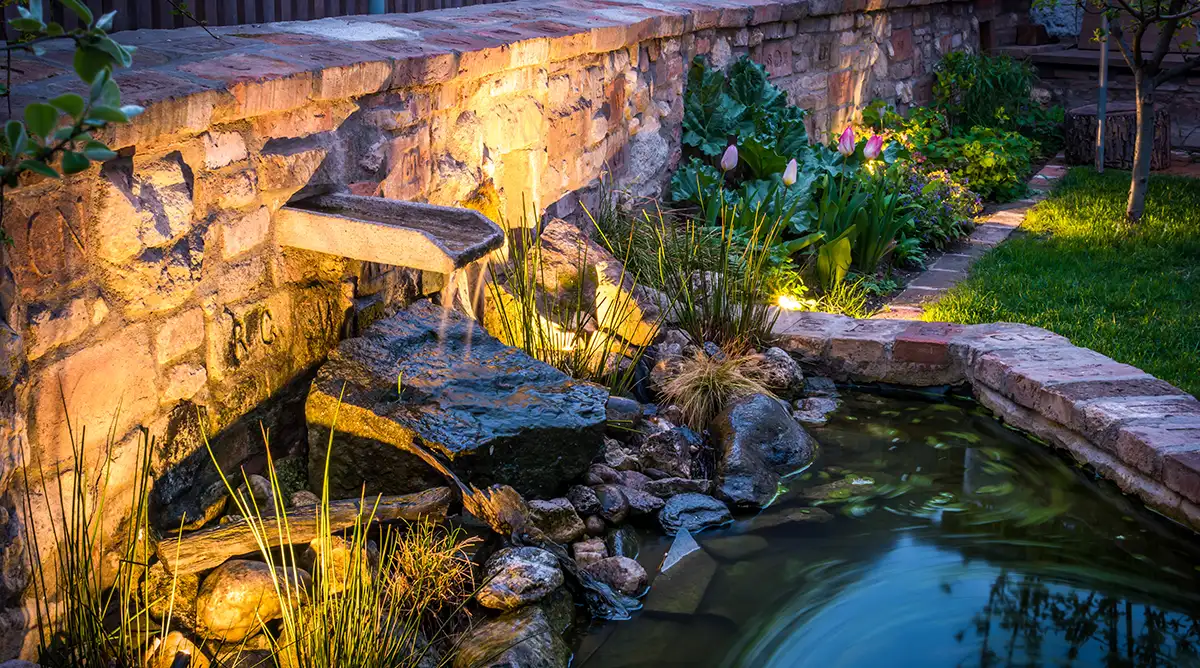Water Feature for Your Backyard